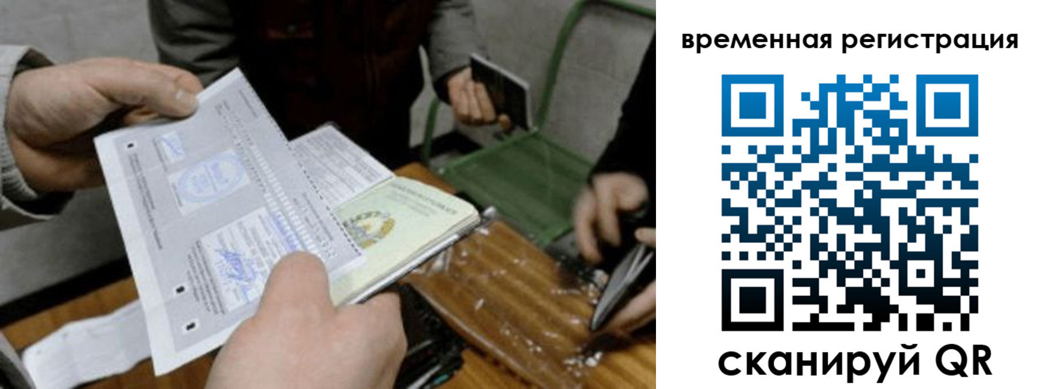 временная регистрация 2025 в Полярных Зорях